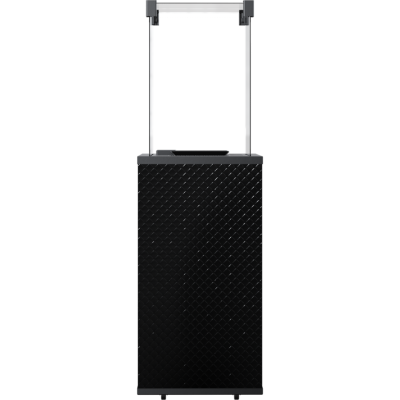 Нагреватель газовый PATIO/MINI/G31/37MBAR/CZ/P - черное стекло, тиснение, пульт Нагреватель газовый PATIO/MINI/G31/37MBAR/CZ/P - черное стекло, тиснение, пульт