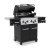 Гриль газовый Broil King REGAL 490 Гриль газовый Broil King REGAL 490
